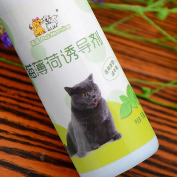 Healthy Catnip Spray for Kittens & Cats - Easy to Use & Safe - Perfect Pet Gift - Image 3