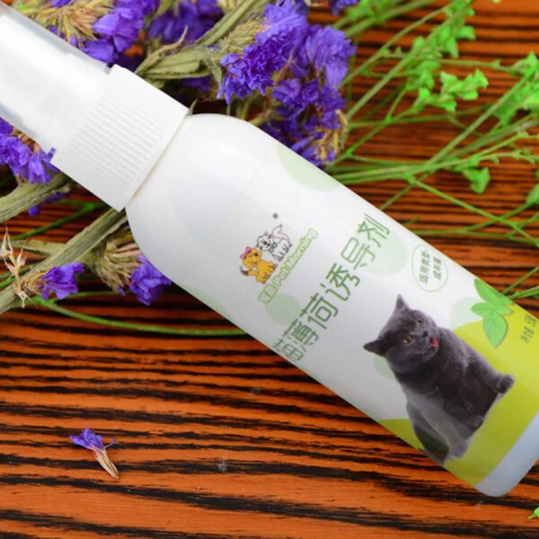 Healthy Catnip Spray for Kittens & Cats - Easy to Use & Safe - Perfect Pet Gift - Image 4