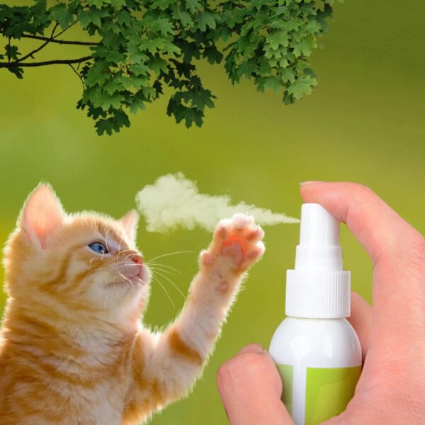 Healthy Catnip Spray for Kittens & Cats - Easy to Use & Safe - Perfect Pet Gift - Image 5