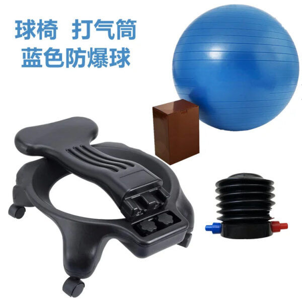 Living Room Balance Yoga Ball Chair - Fitness Lounge & Modern Armchairs - Image 5